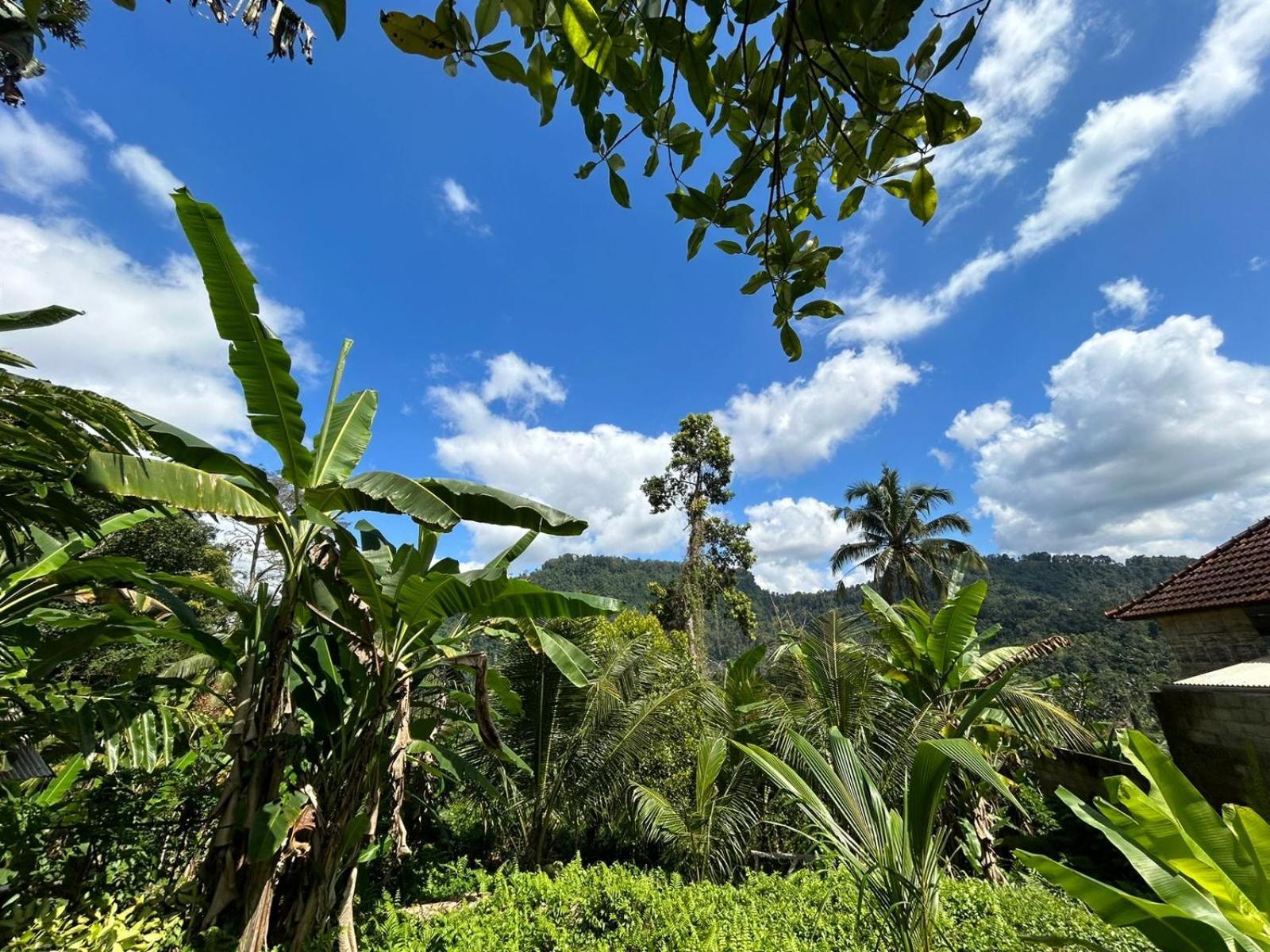 Buntera Homestay Sidemen Sidemen (Bali) Exterior foto
