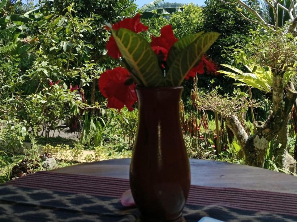 Buntera Homestay Sidemen Sidemen (Bali) Exterior foto