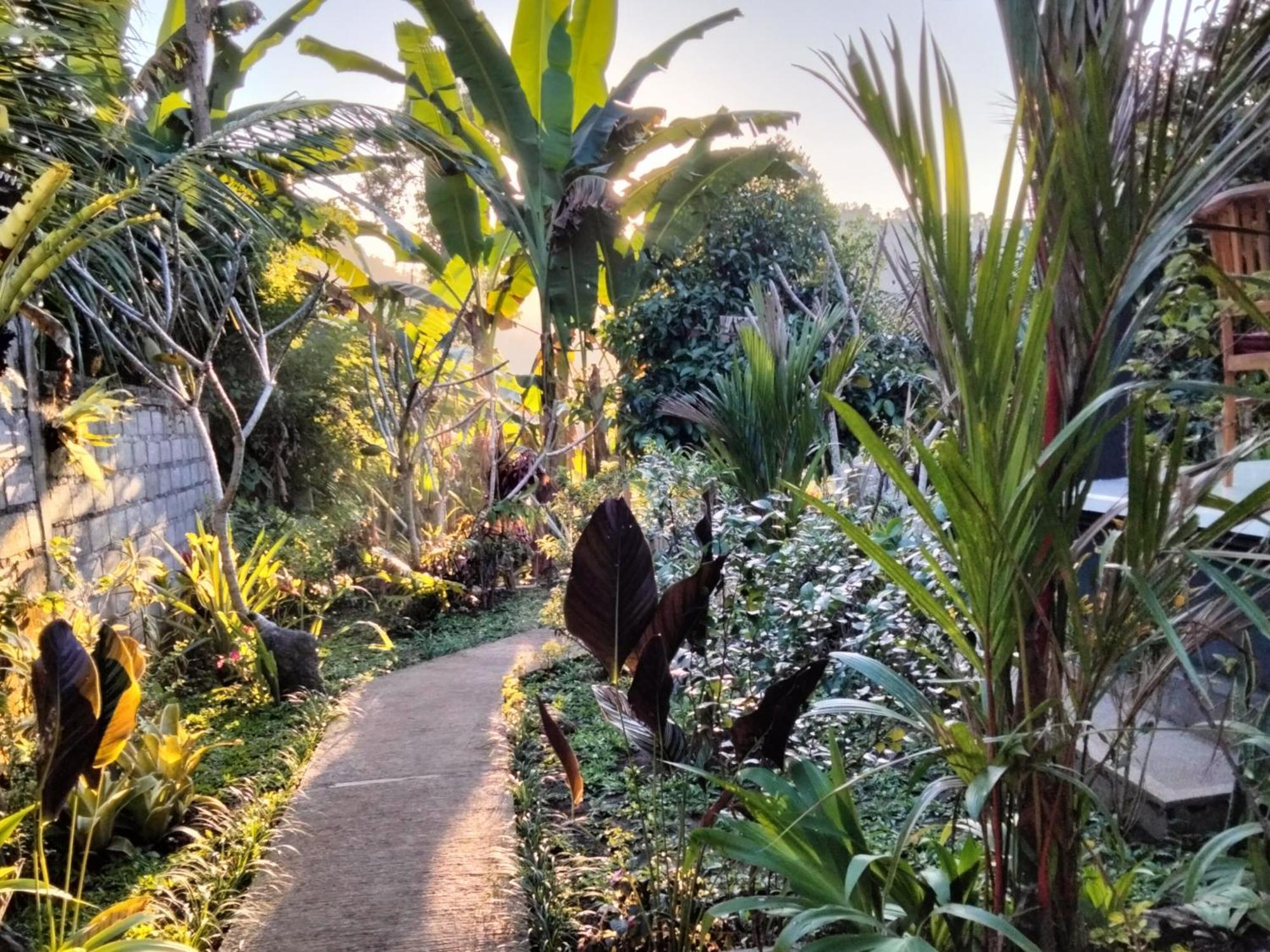 Buntera Homestay Sidemen Sidemen (Bali) Exterior foto