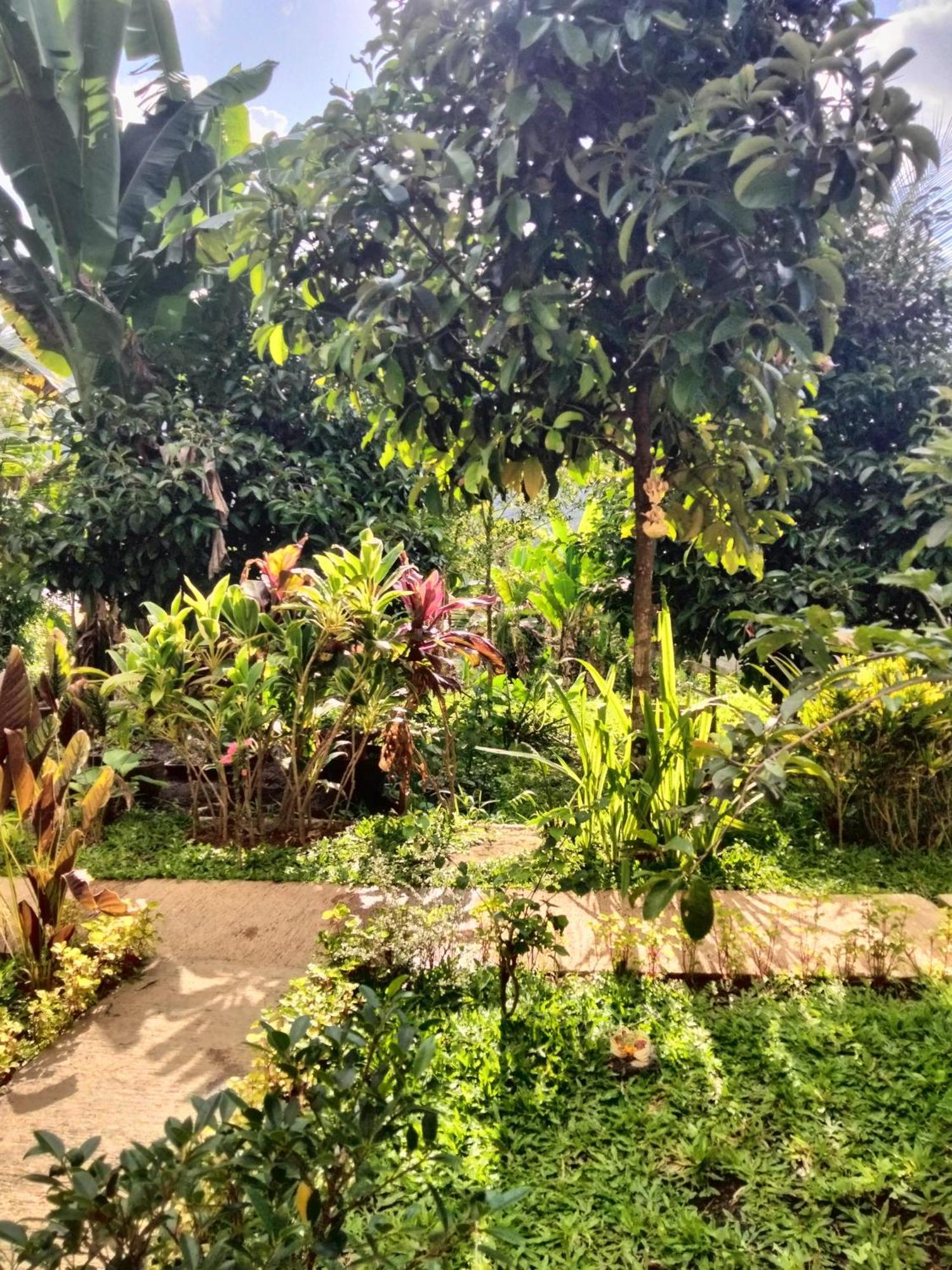 Buntera Homestay Sidemen Sidemen (Bali) Exterior foto