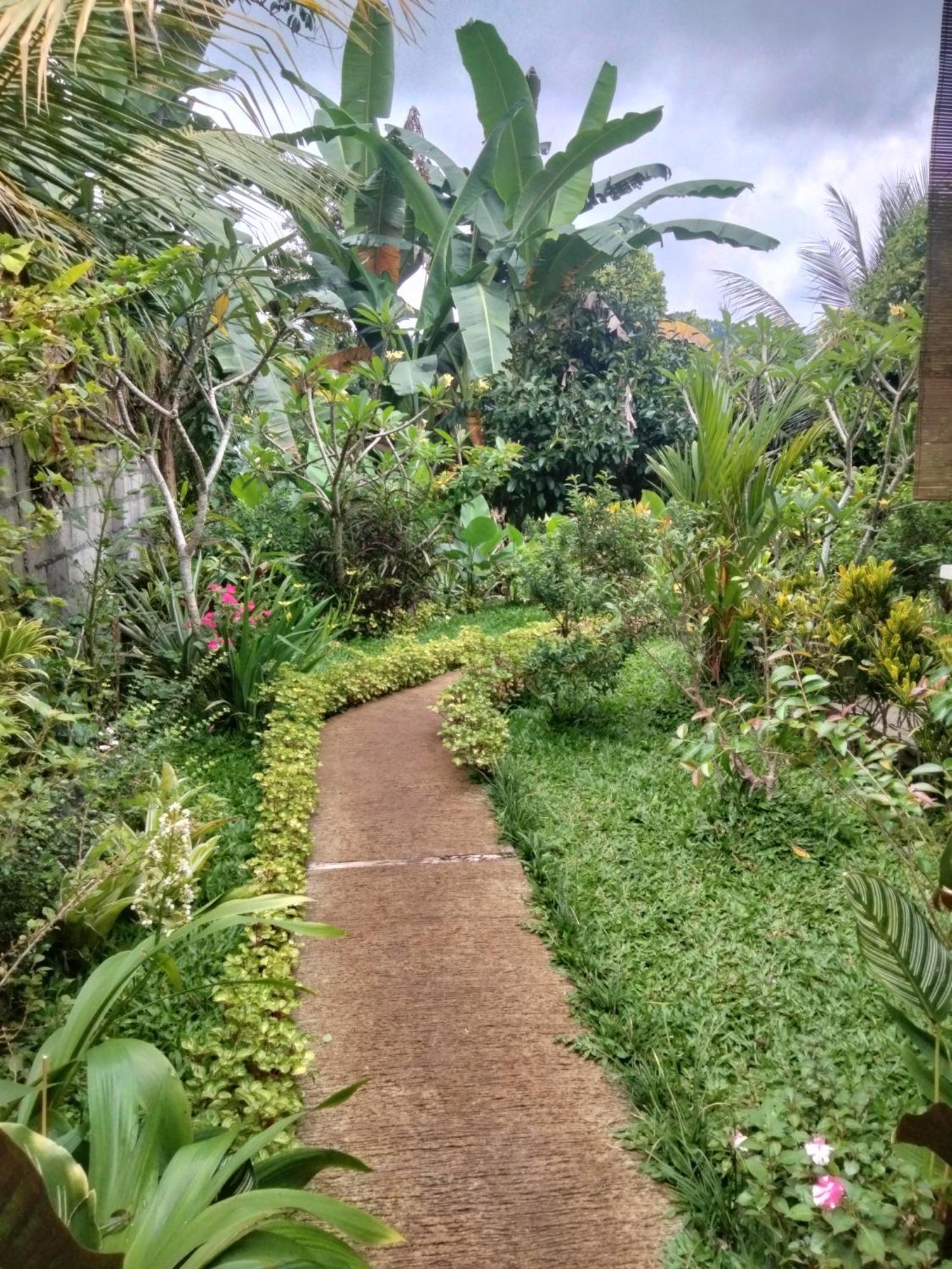 Buntera Homestay Sidemen Sidemen (Bali) Exterior foto