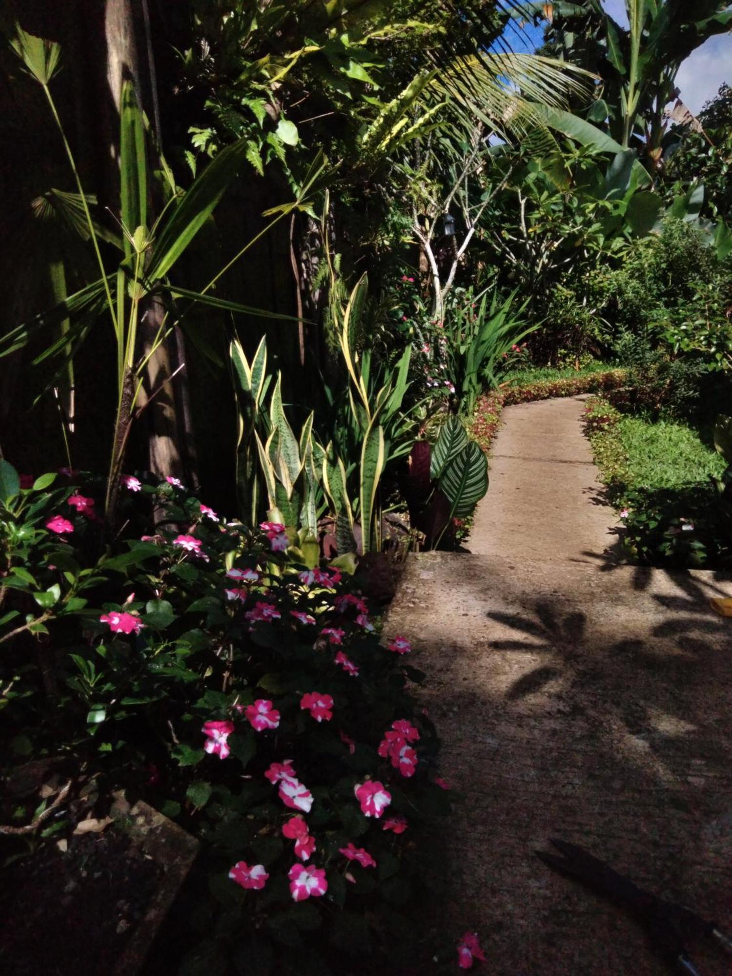 Buntera Homestay Sidemen Sidemen (Bali) Exterior foto
