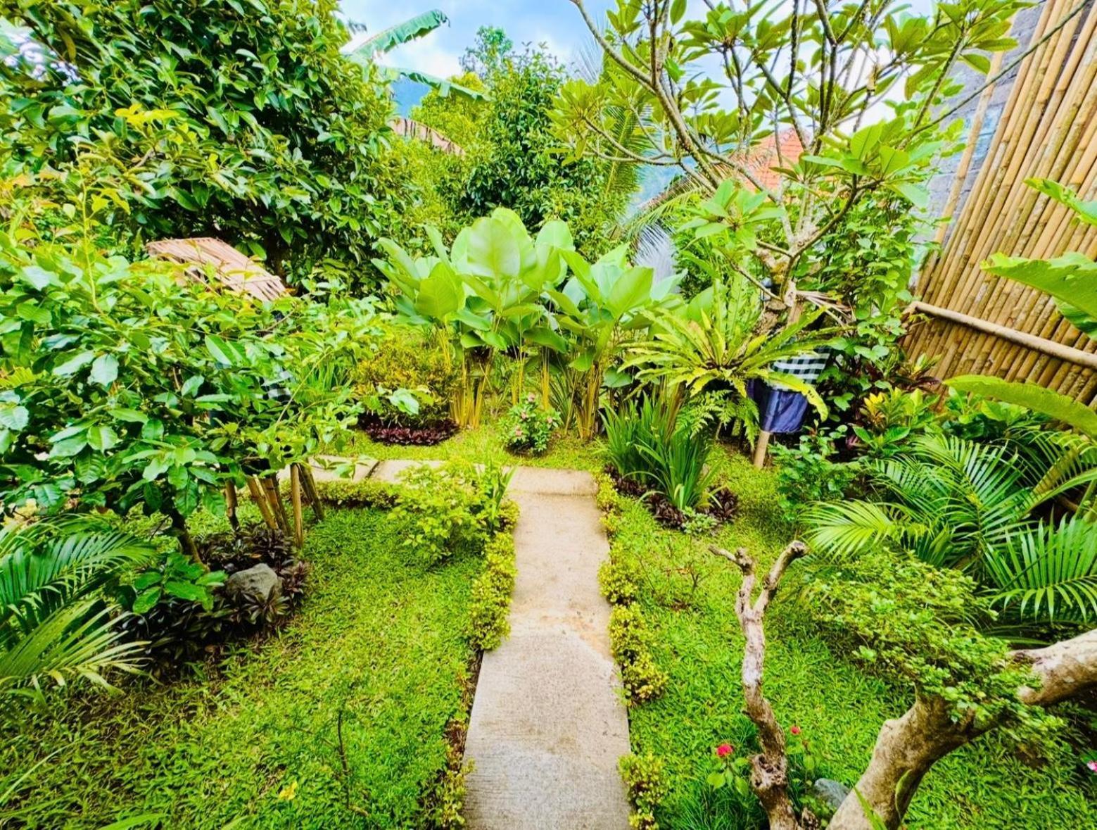 Buntera Homestay Sidemen Sidemen (Bali) Quarto foto